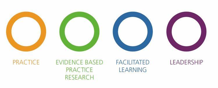 Post Registration Professional Development Framework four pillars image.JPG