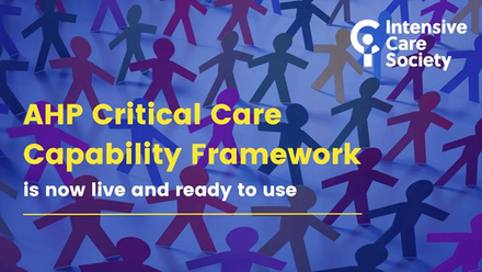 Critical Care Framework.png