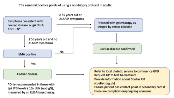 Figure 3. Diagram of the non-biopsy approach in adults from the BSG interim guidance (Penny et al. 2020)